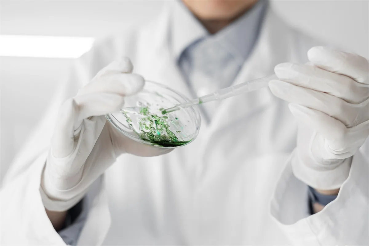 Thai Researchers Develop Nanoemulsion Based on Peristrophe Bivalvis
